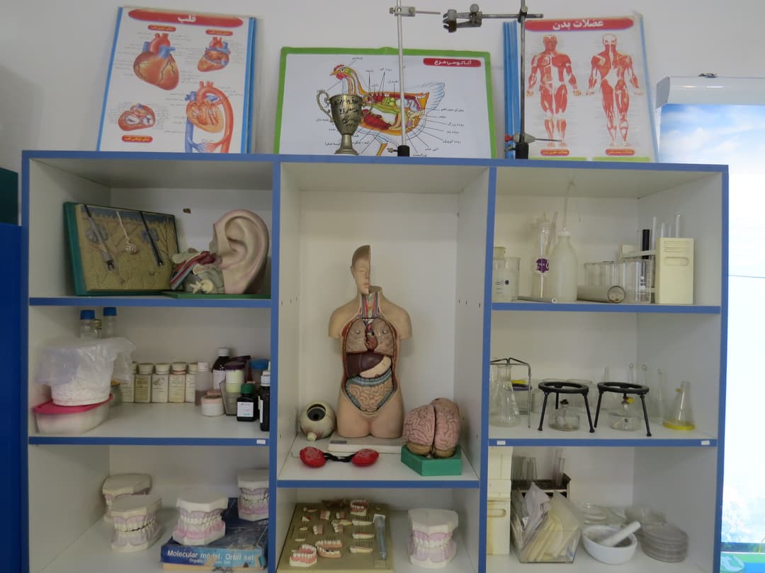 تصویر مقاله